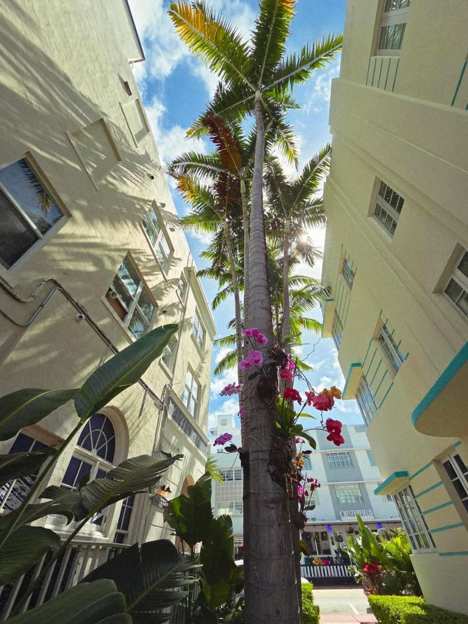 Luxuri Suites Miami Beach Extérieur photo